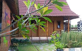 Mysha Guest House-Lombok