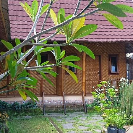 Mysha Guest House-Lombok Tetebatu Exterior foto