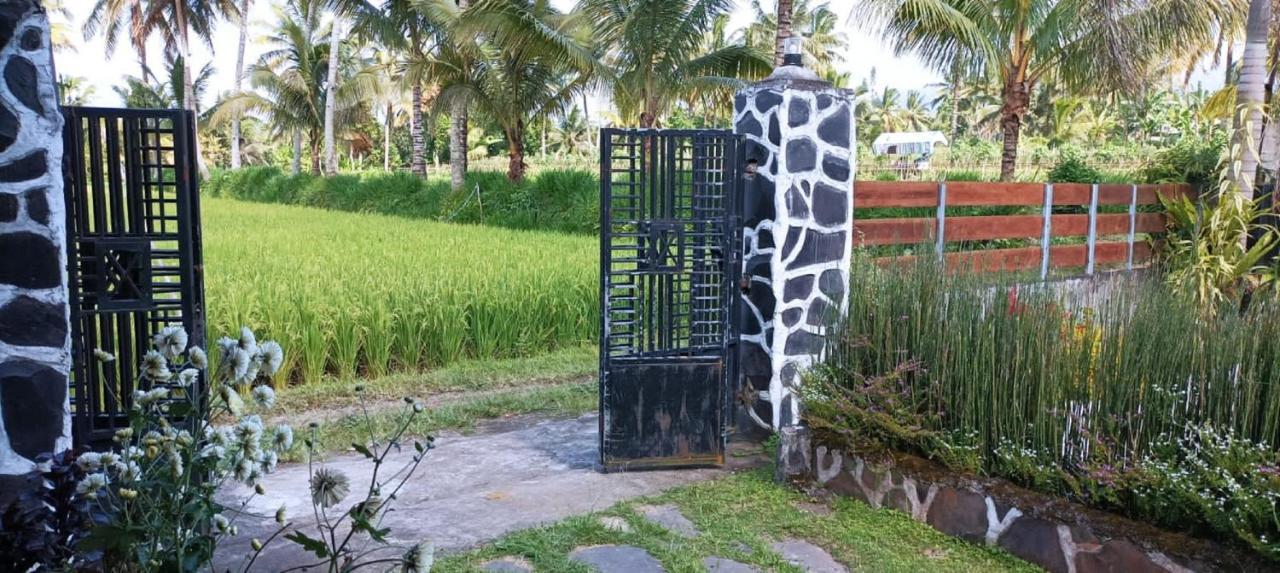 Mysha Guest House-Lombok Tetebatu Exterior foto